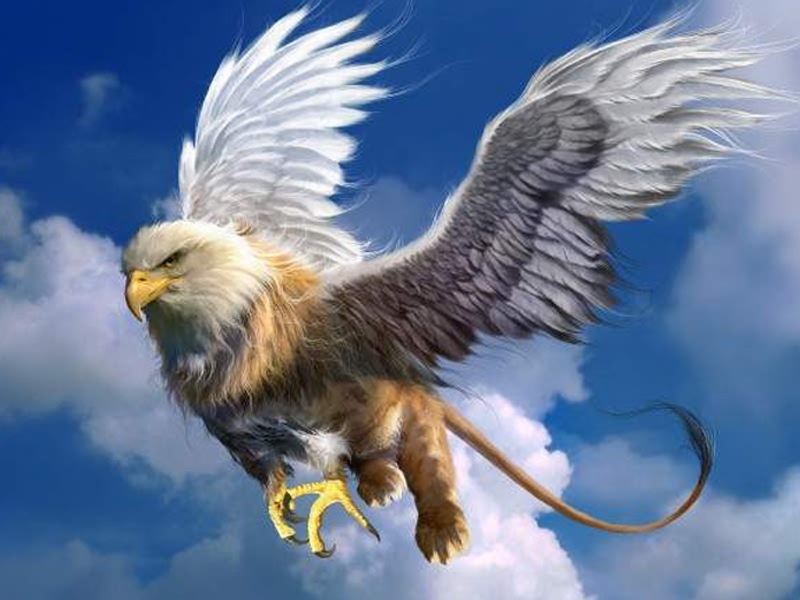 gryphon.jpg